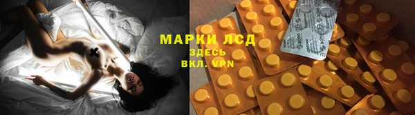 spice Богородицк