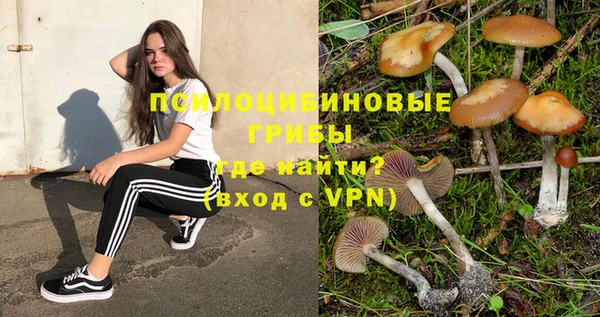 spice Богородицк