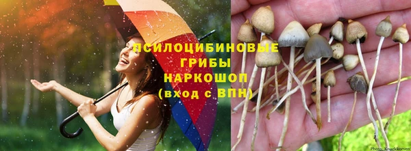 spice Богородицк