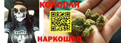 Альфа ПВП Кингисепп