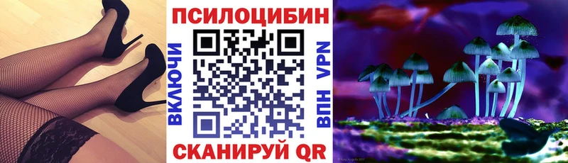 Галлюциногенные грибы MAGIC MUSHROOMS  Губкинский 